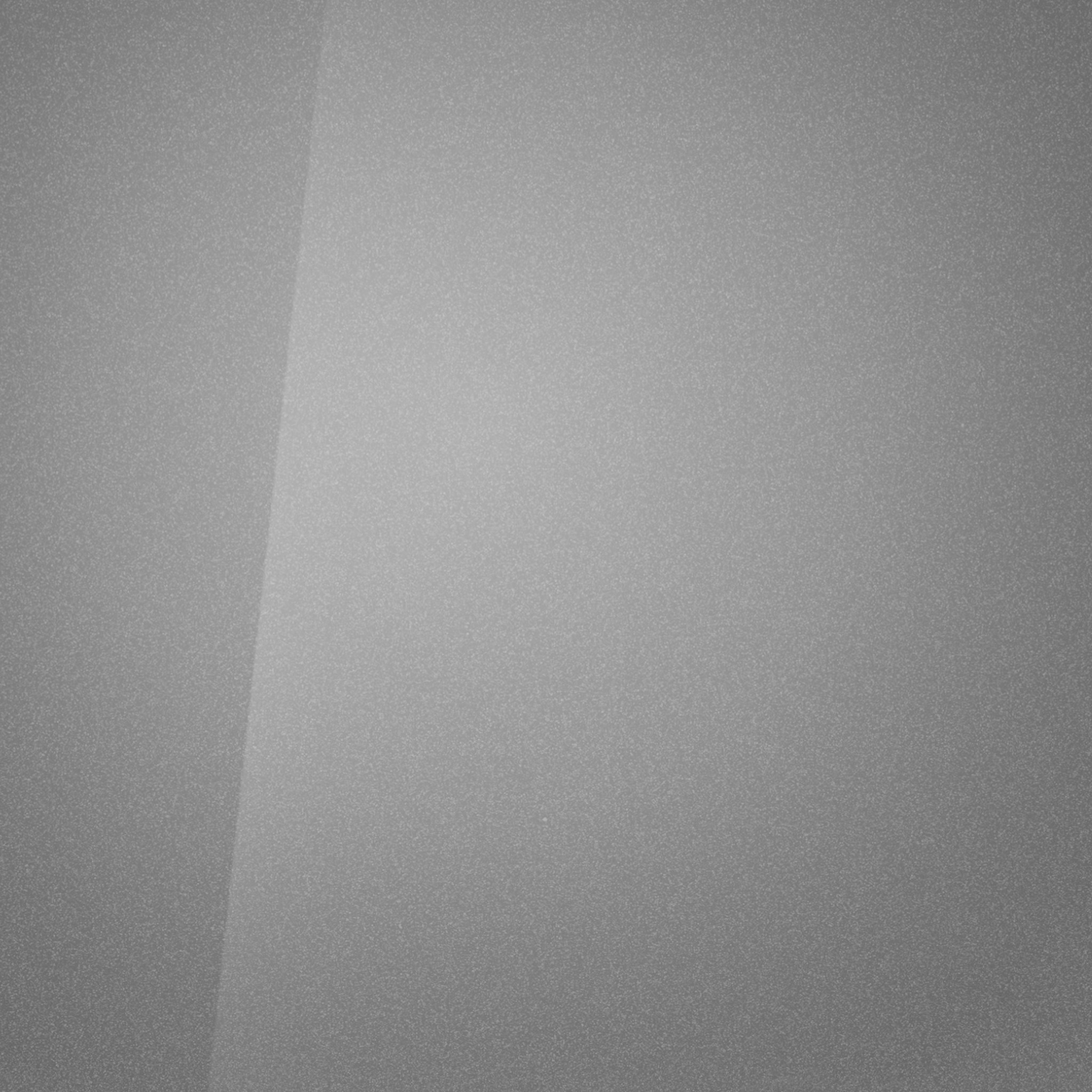 Shimmering Silver) Bild