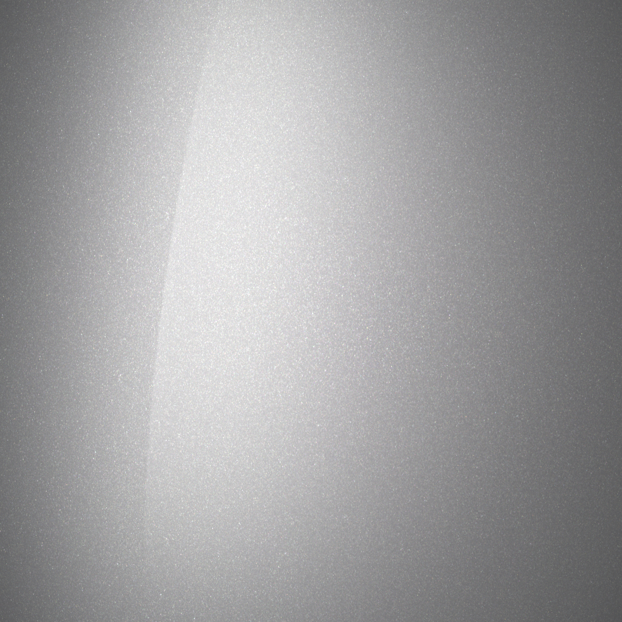 Shimmering Silver) Bild